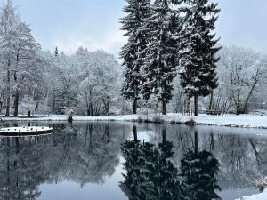 Prodej bytu 4+kk, Loučná pod Klínovcem, 91 m2