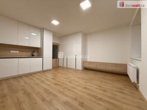 Pronájem bytu 1+kk, Uherské Hradiště, Zahrádky, 30 m2