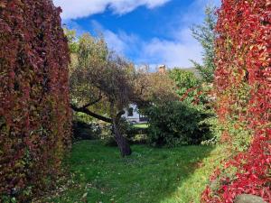 Prodej rodinného domu, Lovečkovice - Náčkovice, Náčkovice, 230 m2