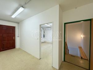 Pronájem obchodního prostoru, Český Krumlov - Domoradice, Za Jitonou, 300 m2