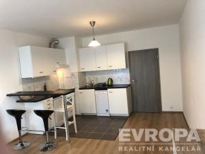 Pronájem bytu 1+kk, Plzeň - Valcha, Špačková, 32 m2