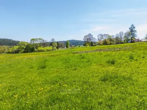 Prodej pozemku pro bydlení, Kaplice - Mostky, 698 m2