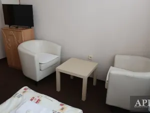 Pronájem bytu 1+kk, Uherský Brod, Mariánské nám., 20 m2