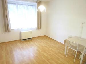 Pronájem bytu 1+kk, Praha - Strašnice, Na hroudě, 26 m2