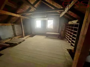 Prodej rodinného domu, Držkov, 300 m2