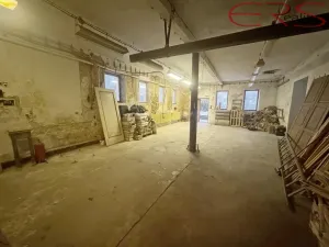 Prodej rodinného domu, Držkov, 300 m2