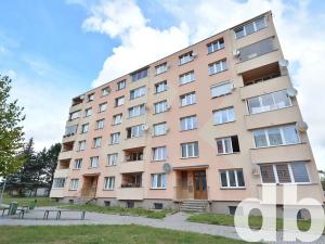 Pronájem bytu 1+kk, Nové Sedlo, Sadová, 20 m2