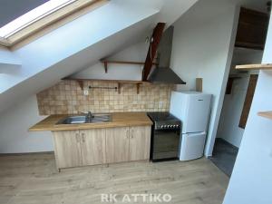 Pronájem bytu 1+kk, Brno, Hybešova, 52 m2