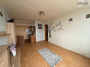 Prodej bytu 2+kk, Litvínov - Janov, Kopistská, 40 m2