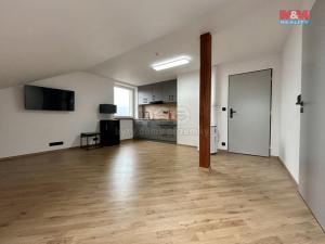 Pronájem bytu 1+kk, Klatovy - Luby, 30 m2