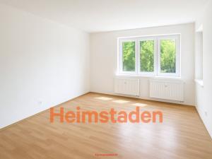 Pronájem bytu 1+1, Rychvald, Orlovská, 45 m2