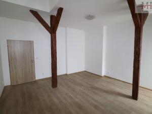 Pronájem bytu 2+1, Teplice, Brožíkova, 73 m2