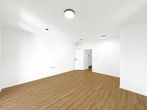 Prodej bytu 1+kk, České Budějovice, K. Lávičky, 38 m2
