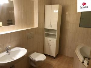 Pronájem bytu 1+kk, Hradec Králové, Labská louka, 53 m2