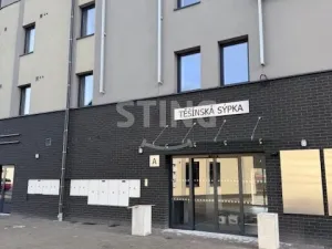 Pronájem obchodního prostoru, Český Těšín, Jablunkovská, 401 m2