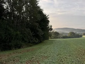 Prodej pozemku, Úštěk, 3584 m2