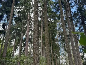 Prodej pozemku, Velké Svatoňovice, 10821 m2