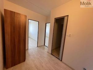 Prodej bytu 2+kk, Most, Františka Malíka, 40 m2