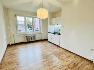 Pronájem bytu 1+kk, Teplice, Svojsíkova, 23 m2