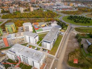 Prodej bytu 1+kk, Plzeň - Jižní Předměstí, Goldscheiderova, 47 m2