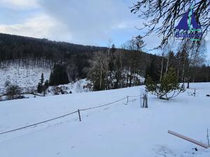 Prodej podílu rodinného domu, Jablonec nad Jizerou, 180 m2