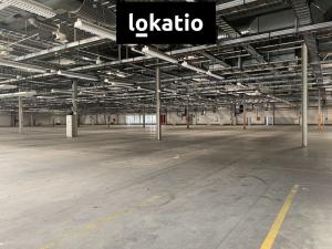 Pronájem skladu, Plzeň, 5000 m2