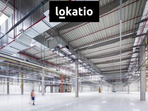 Pronájem skladu, Louny, 10000 m2