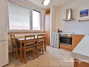 Pronájem bytu 1+1, Brno, Renčova, 45 m2