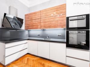 Pronájem bytu 2+1, Praha - Josefov, Široká, 80 m2