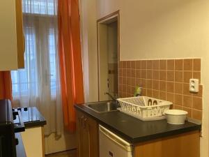 Pronájem bytu 1+1, Praha - Žižkov, Seifertova, 34 m2