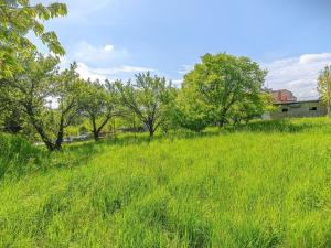 Prodej rodinného domu, Lipová - Hrochov, Hrochov, 142 m2