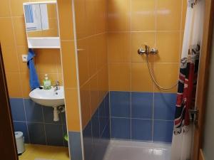 Pronájem bytu 1+kk, Staňkovice, Zahradní, 20 m2