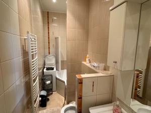 Prodej bytu 2+kk, Karlovy Vary, Petřín, 46 m2