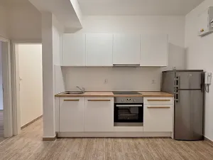 Pronájem bytu 2+1, Praha - Bubeneč, U zeměpisného ústavu, 46 m2