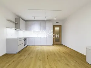 Pronájem bytu 2+kk, Praha - Vysočany, Stejnosměrná, 57 m2