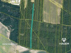 Prodej podílu lesa, Svatobořice-Mistřín, 3211 m2