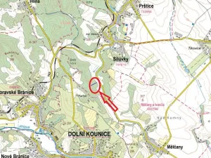 Prodej lesa, Silůvky, 545 m2