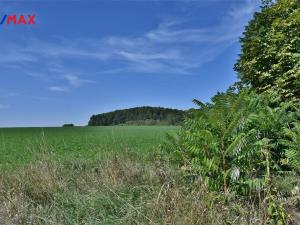 Prodej chalupy, Lázně Bělohrad - Brtev, 100 m2