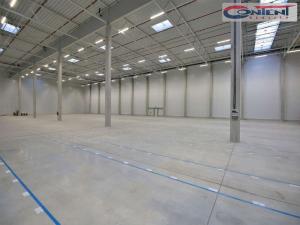 Pronájem skladu, Jindřichův Hradec - Jindřichův Hradec III, Jiráskovo předměstí, 10000 m2