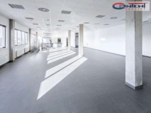 Pronájem výrobních prostor, Prostějov, Průmyslová, 6800 m2