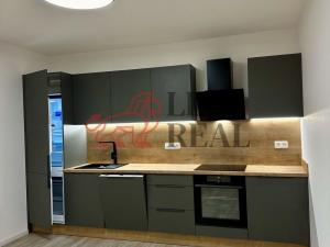 Pronájem bytu 2+kk, Karlovy Vary - Rybáře, Sedlecká, 60 m2