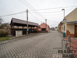 Prodej restaurace, Bystrovany, Na čtvrtkách, 350 m2