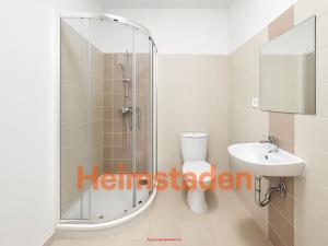 Pronájem bytu 1+kk, Karviná - Nové Město, Cihelní, 38 m2