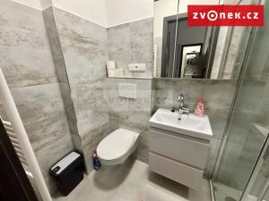 Pronájem bytu 2+kk, Zlín, L. Váchy, 50 m2