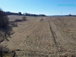 Prodej chalupy, Chodský Újezd - Dolní Jadruž, 90 m2