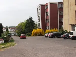 Pronájem kanceláře, Dobříš, Na Zlaté stezce, 30 m2