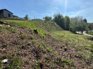 Prodej pozemku pro bydlení, Poříčí nad Sázavou, 1088 m2