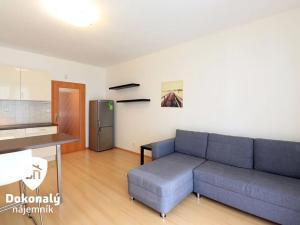 Pronájem bytu 1+kk, Praha - Záběhlice, Velenovského, 29 m2