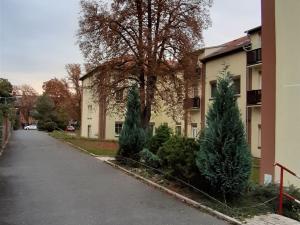 Pronájem bytu 2+kk, Milovice - Mladá, Kaštanová, 53 m2