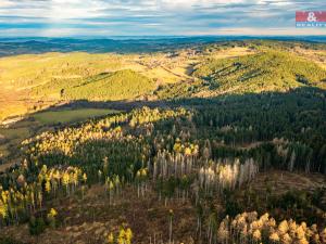 Prodej lesa, Vacov - Žár, 10477 m2